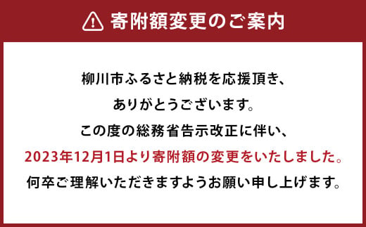 【受注生産】職人が一点一点丁寧に仕上げた力強い天然の木目が美しい ダイニング セット 。