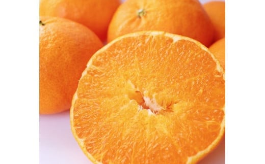 先行予約 数量限定 甘平 1.5kg 約7玉 みかん 蜜柑 柑橘 果物 フルーツ