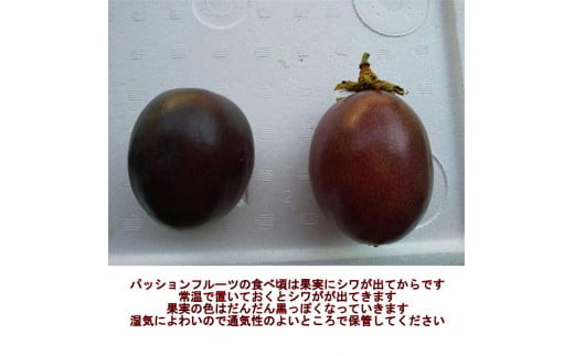 清田さんのパッションフルーツ 約1kg(9～15玉)