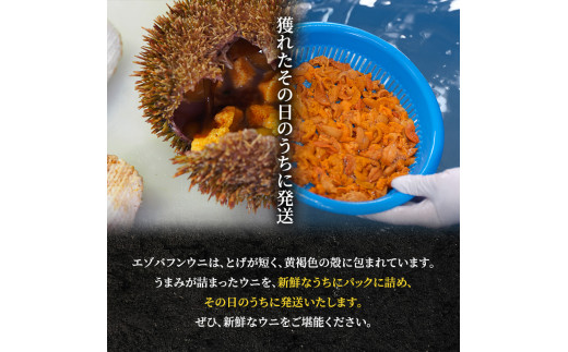 北海道利尻島産「朝どり」生うに塩水パック80g（蝦夷バフンウニ