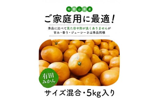 ご家庭用 濃厚 完熟 有田 みかん 5kg【先行予約 2024年11月下旬～12月中旬発送】【訳あり】【農家直送】