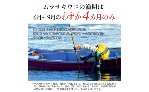 北海道利尻島産 塩水生うに（ムラサキウニ）85g×5パック [2024年6月