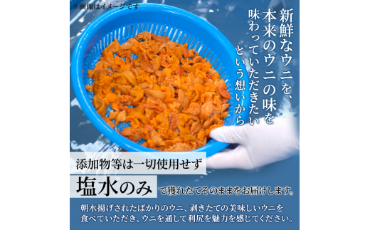 北海道利尻島産 塩水生うに（ムラサキウニ）85g×2パック [2024年6月