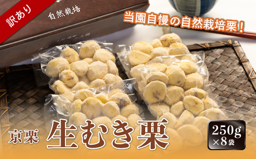 《2024年10月発送》【訳あり】京栗生むき栗 2kg（250g×8袋）京都 綾部 丹波栗 自然栽培 京都府産 農家直送 国産 わけあり 訳アリ 無農薬 果物 フルーツ くり 栗 年内配送 年内 年内発送 1461613 - 京都府綾部市