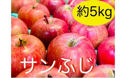 【先行予約】 サンふじ 約5kg（2024年産） (N-1.5) 1452521 - 長野県飯山市