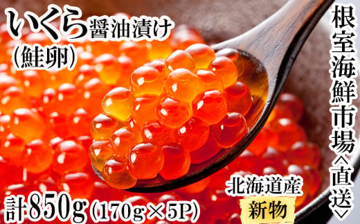 C-14022 いくら醤油漬け(秋鮭卵)(新物)170g×5P(計850g) 288450 - 北海道根室市