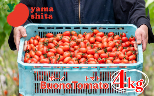 ミニトマト 4kg アイコ トマト ボーノトマト 農家直送 サラダ 【 とまと ふるーつとまと トマト とまと tomato 美味しい 甘い 野菜 】 1322641 - 徳島県阿波市