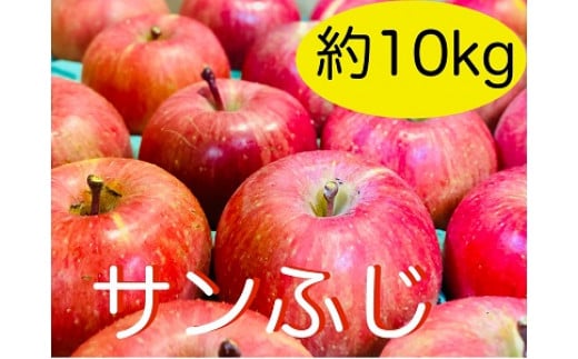 【先行予約】 サンふじ　約10kg（2024年産）(D-2.8) 1452522 - 長野県飯山市