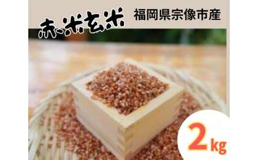 循環型有機肥料で育った赤米玄米（もち米）2kg【アグリCATS】_HA1441 1156236 - 福岡県宗像市