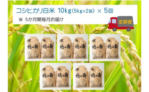 定期便 5回 厳選 コシヒカリ 白米 10kg（5kg×2袋） / お米 米 ご飯