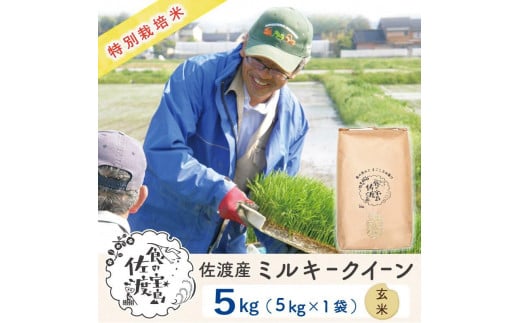 佐渡島産 ミルキークイーン 玄米5Kg×1袋【令和5年産】特別栽培米 1058871 - 新潟県佐渡市