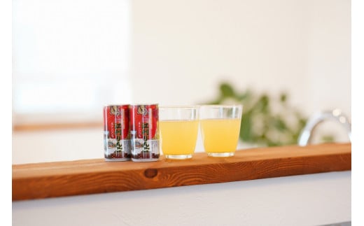 陽光熟成江刺りんごジュース（195ml×30缶） 江刺産サンふじ使用　ストレート果汁100％