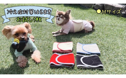 	FB159_超小型犬・シニア犬の冷え性対策腹まき☆Mサイズ【お試し1枚】