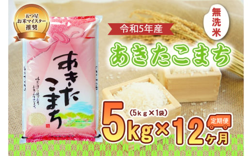 【12か月定期便】盛岡市産あきたこまち【無洗米】5kg×12か月 890122 - 岩手県盛岡市