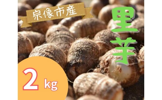 循環型有機肥料で育った里芋（石川早生）2kg【アグリCATS】_HA1433 1156162 - 福岡県宗像市