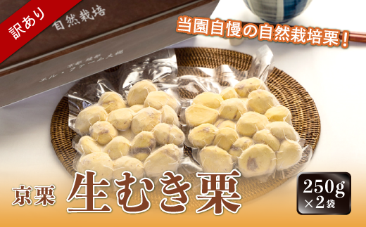 《2024年12月発送》【訳あり】京栗生むき栗500g（250g×2袋）京都 綾部 丹波栗 自然栽培 京都府産 農家直送 国産 わけあり 訳アリ 無農薬 果物 フルーツ 1461663 - 京都府綾部市