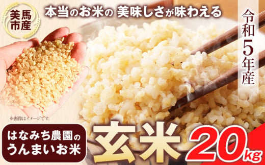 はなみち農園のうんまいお米・玄米 令和5年産 20kg《30日以内に発送予定(土日祝除く)》 玄米 美馬市産 実森ラボラトリー株式会社 自家製小麦のお店mimori 送料無料 徳島県 美馬市