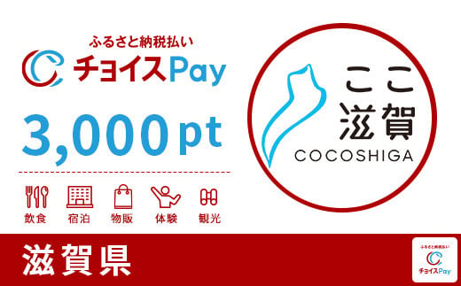 滋賀県チョイスPay 3,000pt（1pt＝1円）