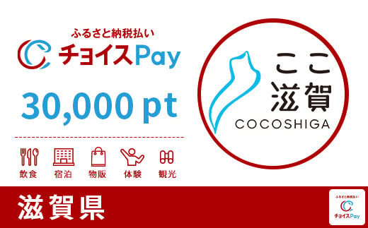 滋賀県チョイスPay 30,000pt（1pt＝1円）