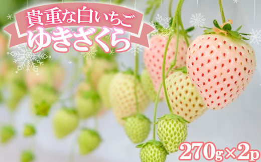 №5525-0948]北海道 伊達市 すずあかね と 天使 の いちご セット 25