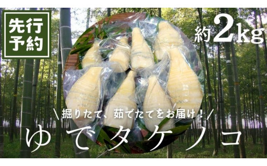 《 先行予約 》【2024年4月上旬以降発送】新鮮な ゆで タケノコ 2kg 竹の子 2キロ 筍 たけのこ 水煮 真空パック 国産 たけのこご飯
