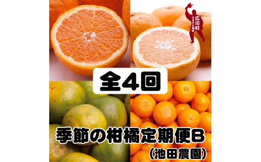 2月より発送＞家庭用 清見オレンジ2kg+60g（傷み補償分）【光センサー 