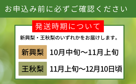 【受付再開 今シーズン最終受付です】梨 晩生梨（新興梨、王秋梨）香住産 新興梨 王秋梨 4kg  大きめサイズ（1玉450g～700gを6～9玉）フルーツ 梨の一大産地香住からお届け  新興梨、王秋梨のいずれかを時期によってお届けします。甘味の中に適度に酸味 絶妙な美味しさ 味と品質へのこだわり 大人気