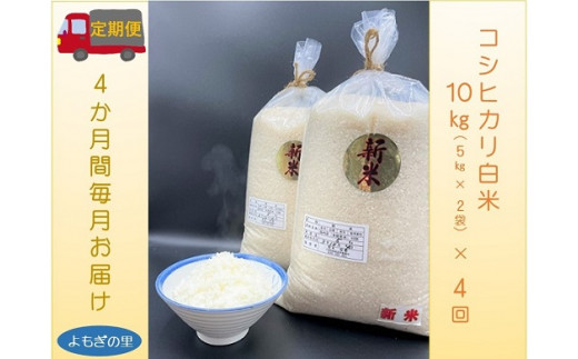 定期便 4回 厳選 コシヒカリ 白米 10kg（5kg×2袋） / お米 米 ご飯 ごはん