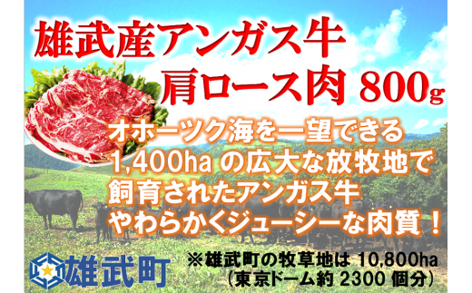 雄武産アンガス牛肉セット(冷凍)牛肩ロース肉400g×2