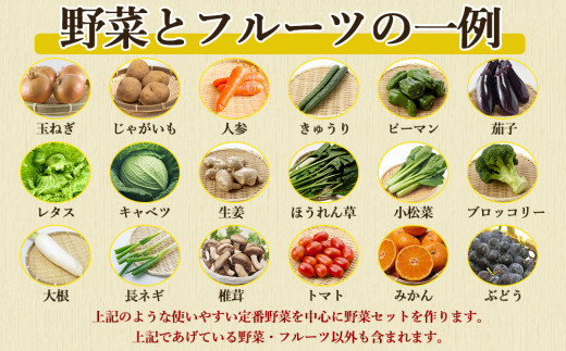 【定期便 12回】野菜のプロ40年が届ける 厳選野菜セット！ 野菜・フルーツ 15～16品目 詰め合わせ
