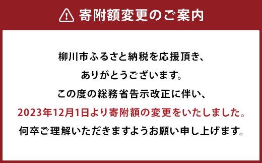 【HIRASHIMA】 ELEVATO Dining Table 154