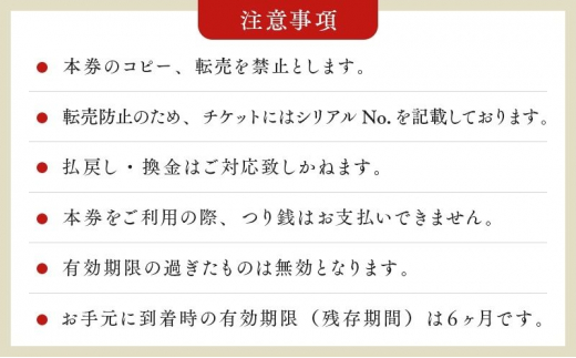 東京 スカイツリー 展望台 入場引換券 （有効期間:2024.4.1～2024.9.30