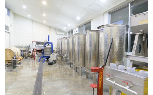 ワインは、2018年に開設した自社醸造所「荒戸山ワイナリー」で醸造しています。