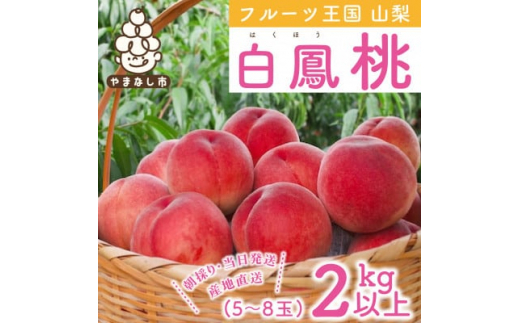 山梨県産 桃 白鳳 2kg以上(5～8玉) ふるさと納税【1137260】