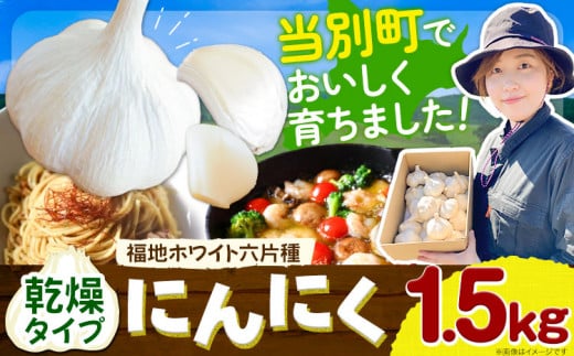 [1.1-81]　【令和7年発送先行受付】にんにく（福地ホワイト六片種）1.5kg 678230 - 北海道当別町