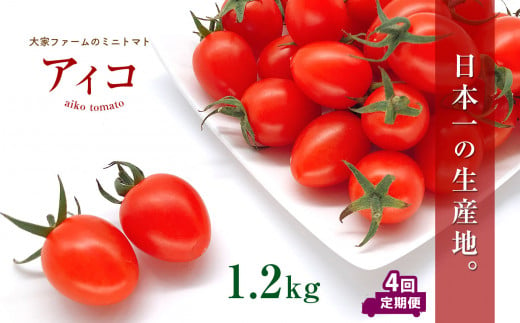 【定期4回】『大家ファーム』のミニトマト アイコ 1.2kg×4回 ｜ 野菜 やさい とまと トマト ミニトマト アイコ 定期便 4回 熊本県 玉名市 1149759 - 熊本県玉名市