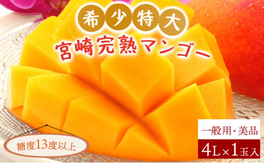 KU471 希少特大宮崎完熟マンゴー(4L×1玉入）一般用・美品　濃厚な甘さと酸味のバランスが絶妙な完熟マンゴー！ 【やました農園】