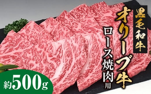 M18-0018_黒毛和牛オリーブ牛ロース焼肉用　約500ｇ 254836 - 香川県三豊市