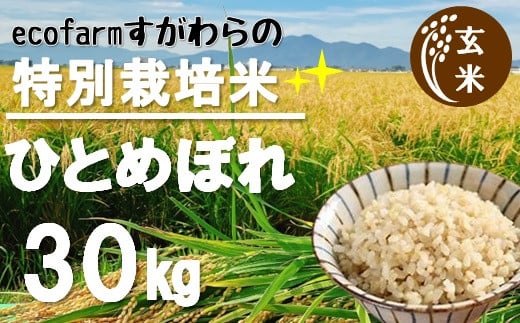 令和5年産・玄米】ecofarmすがわらの特別栽培米ひとめぼれ30kg｜ふるラボ