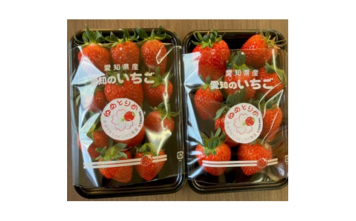 ＜2024年1月から順次発送＞よつぼし約250g×4パック(約1kg)愛知県大口町産【1461525】