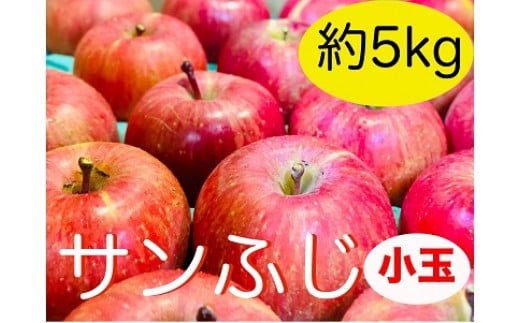 【先行予約】  サンふじ 小玉　約5kg（2024年産） (T-1.3) 1452524 - 長野県飯山市