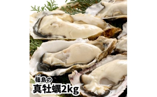 特上・篠島の殻付き真牡蠣2kgセット(生食用かき・CAS冷凍カキ