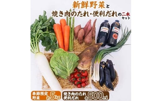 新鮮野菜(約5kg)と焼き肉のたれ便利だれの二本セット【1025156】 1137124 - 千葉県長柄町