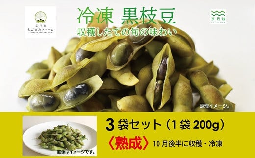 冷凍 丹波黒枝豆 熟成 600g（200g×3パック） 国産 京都 丹波 黒豆 