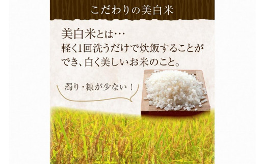 令和5年産 新米 美白精米 丹後こしひかり 10kg（5kg×2袋） 1等米