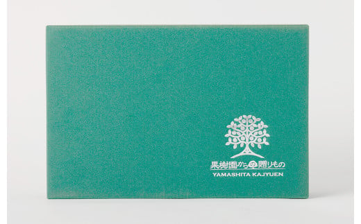熊本 天草の果樹園 ゼリーギフト 100g×8個