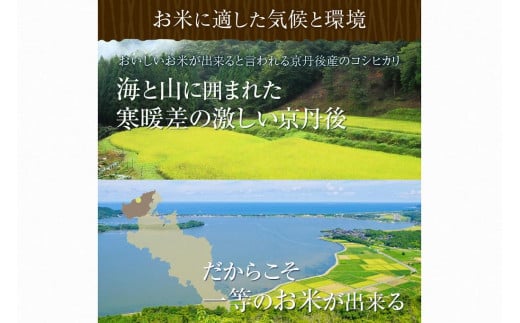 令和5年産 新米 美白精米 丹後こしひかり 10kg（5kg×2袋） 1等米