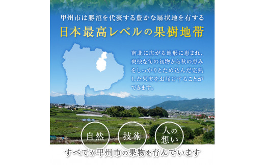 甲州市産 厳選！桃と黄金桃の食べ比べセット 約2kg（5～8玉）【2024年