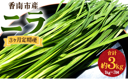 生産量日本一香南市のニラ 1kg 3ヶ月定期便 合計3kg - ニラ 香南市産 にら 朝採れ 産地直送 香味野菜 ニラ Won-0015 1066343 - 高知県香南市