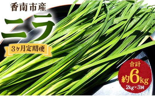 生産量日本一香南市のニラ 2kg 3ヶ月定期便 合計6kg - ニラ 香南市産 にら 朝採れ 産地直送 香味野菜 ニラ Won-0017 1066345 - 高知県香南市